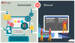 Web Application Security Testing