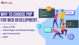 PHP for Web development.