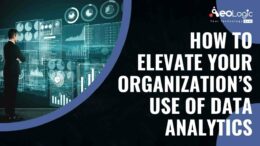 How to Elevate your Organization’s Use of Data Analytics?