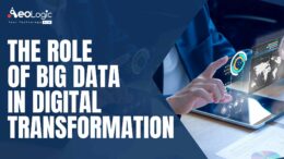 The role of big data in digital transformation