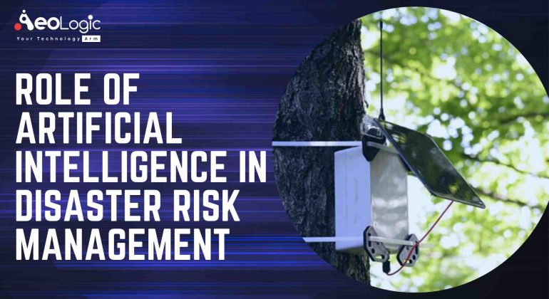Role of Artificial Intelligence in Disaster Risk Management