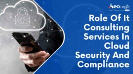 IT consulting services