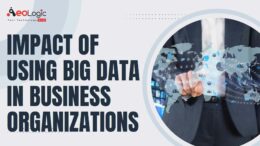 Impact of Using Big Data in Business Organizations