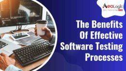 The benefits of effective software testing processes