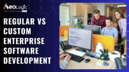 Regular Vs Custom Enterprise Software Development