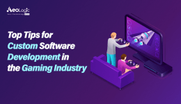 Tips for Custom Software Development in the Gaming Industry