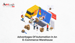 Advantages of Automation in an E-commerce Warehouse