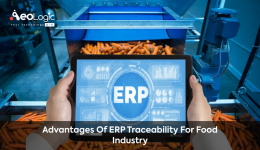 ERP traceability