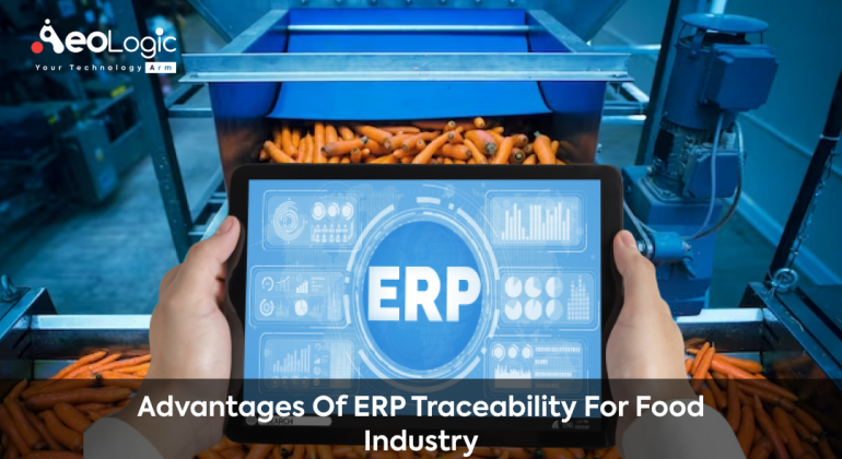 ERP traceability