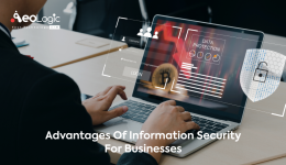 Advantages of Information Security for Businesses