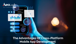 Cross-platform mobile app development