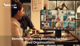 Remote Workforce Solutions for Mid-sized Organizations