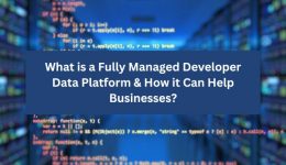 Fully Managed Developer Data Platform