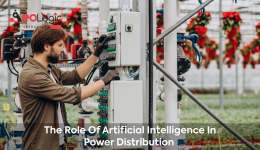 Artificial Intelligence in Power Distribution