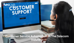 Customer Service Automation in the Telecom Industry