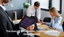 The Uses of Information Technology in Risk Management