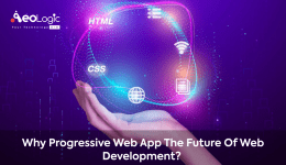 Why Progressive Web App is the Future of Web Development