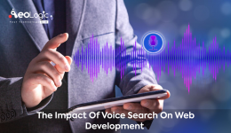 Voice Search on Web Development