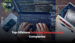 Top Offshore Software Development Companies