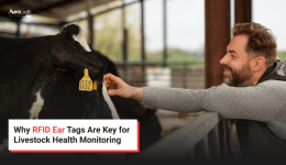 Why RFID Ear Tags Are Key For Livestock Health Monitoring