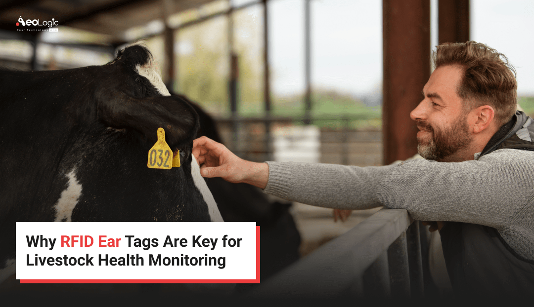 Why RFID Ear Tags Are Key For Livestock Health Monitoring