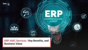 ERP AMC Services : Key Benefits, and Business Value